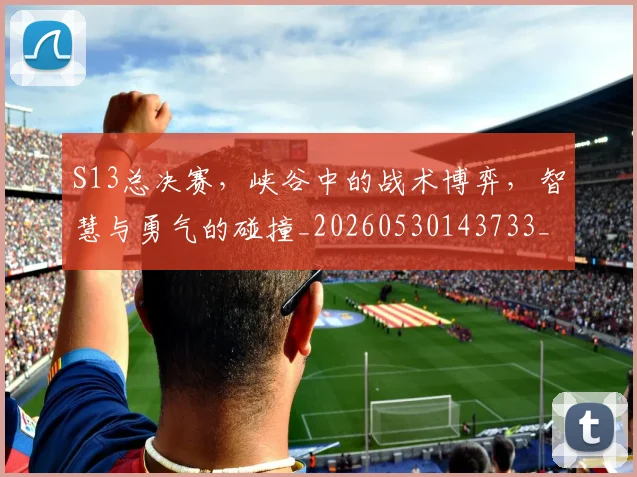S13总决赛，峡谷中的战术博弈，智慧与勇气的碰撞_20260530143733_20260703202645