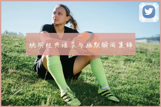 姚明经典语录与幽默瞬间集锦